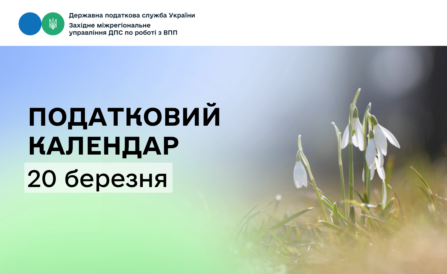 Податковий календар: за що сплачуємо 20 березня?