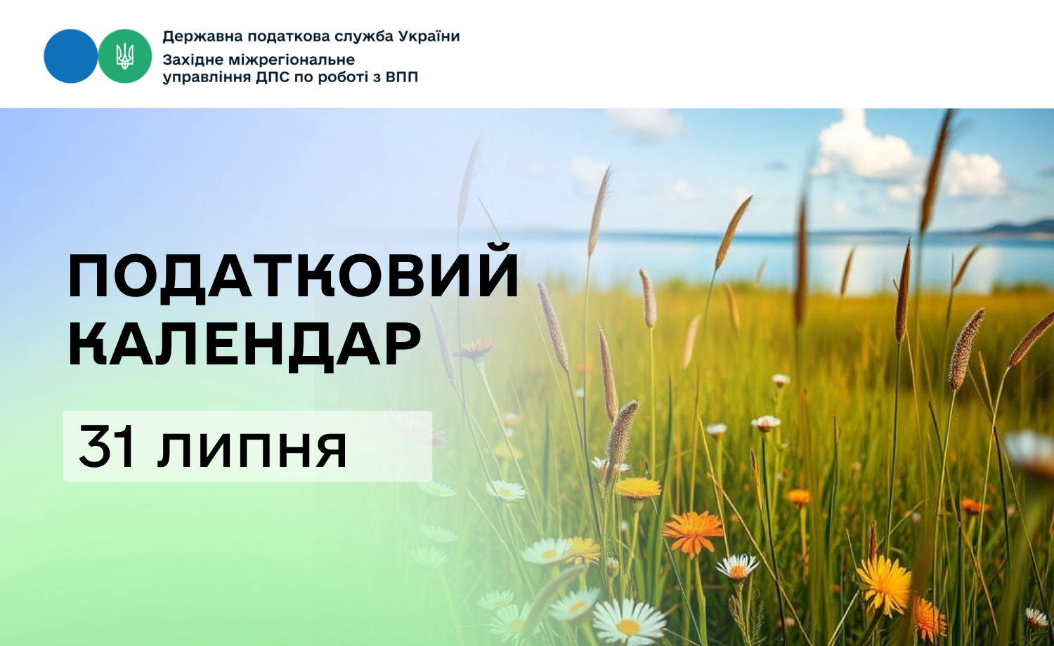 Податковий календар: за що сплачуємо 31 липня?