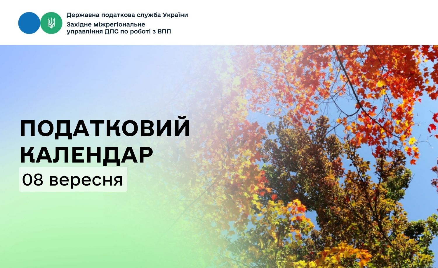 Податковий календар: за що сплачуємо 8 вересня?