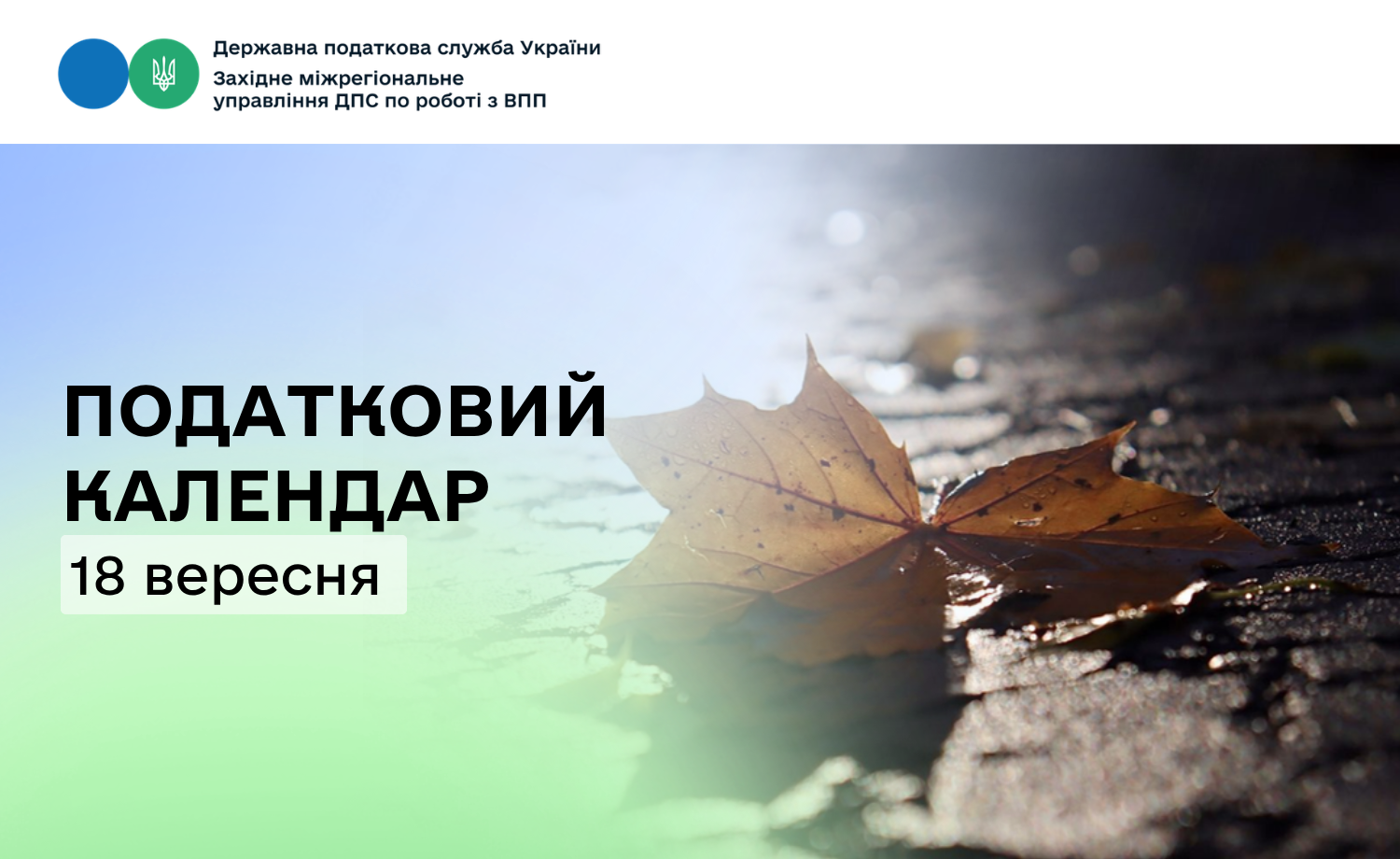 Податковий календар: за що сплачуємо 18 вересня?